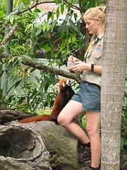 108 Cairns Tropical Zoo